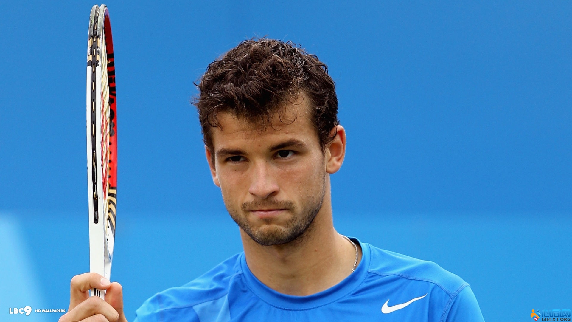 就确立明确 就确立明确